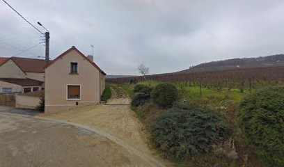 Poiret Daniel, Vignoble à Villevenard