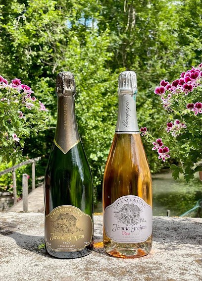 Champagne Jérome Grojean, Vignoble à Ville-sur-Arce