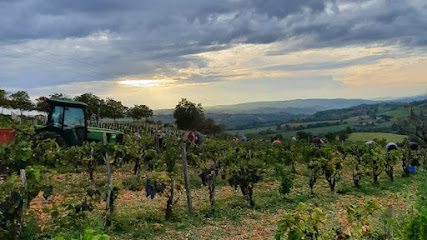Domaine Les Orchidées Sauvages, Vignoble à Montmurat