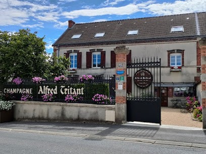 Champagne Alfred Tritant, Vignoble à Bouzy