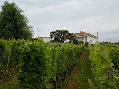 Vignobles Labat Lapouge, Vignoble à Sainte-Croix-du-Mont