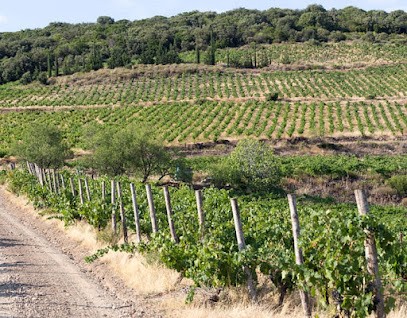 La RABIDOTE - Vignoble LANYE-BARRAC VitiFarm - Vins Bio, Biodynamique & Nature'l, Vignoble à Saint-Nazaire-de-Ladarez
