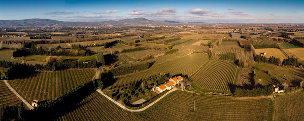 Domaine Les Boneres, Vignoble à Corbère