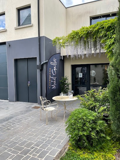 Champagne Michel Gaillot, Vignoble à Mardeuil