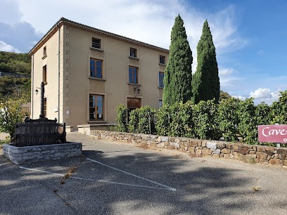Cave Saint Désirat, Vignoble à Saint-Désirat