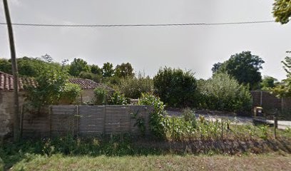 CLOS ANTICO, Vignoble à Vignonet