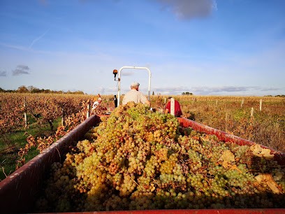Gombert Guy Et Thierry, Vignoble à Villars-les-Bois