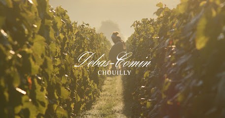 Champagne Debas-Comin, Vignoble à Chouilly