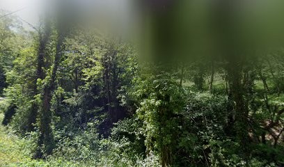 Thiers Jean-Louis, Vignoble à Toulaud