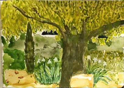 Domaine De Caylus, Vignoble à Villeneuve-lès-Béziers