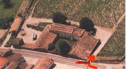 Château Vray Canon Boyer, Vignoble à Saint-Michel-de-Fronsac