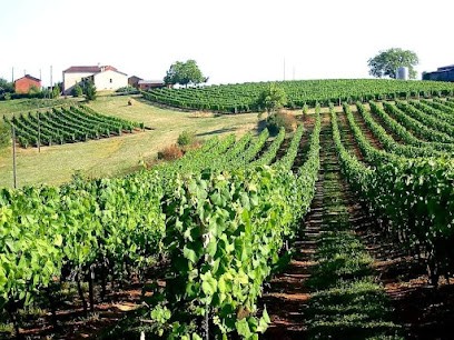 Château de Calassou, Vignoble à Duravel