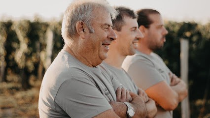 Château Petit Cazenave, Vignoble à Vignonet