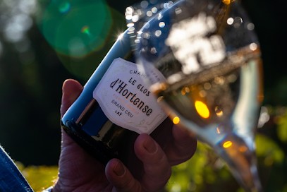 Champagne Pierre LEBOEUF, Vignoble à Aÿ-Champagne