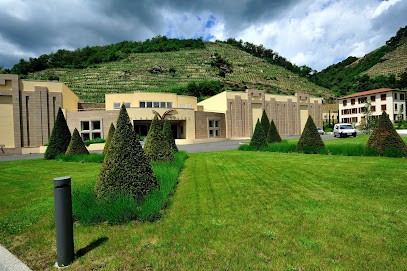 Maison Vidal-Fleury, Vignoble à Tupin-et-Semons