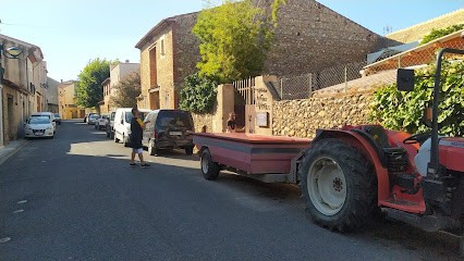 Domaine des Vingt Vertus, Vignoble à Peyrestortes