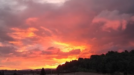 Domaine de Mingraut, Vignoble à Fontcouverte