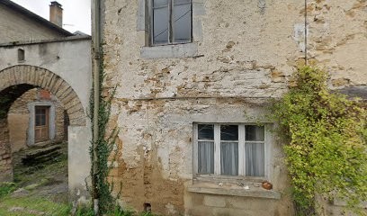 Frédéric PUFFENEY, Vigneron, Vignoble à Vadans