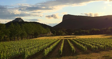 Château de Valflaunès, Vignoble à Valflaunès