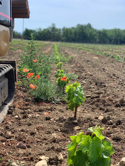 Le Jas De Bel Argent Vignoble à Tourrettes