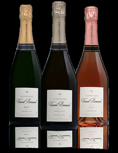 Champagne Vincent Bernard, Vignoble à Tours-sur-Marne