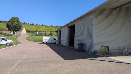 Champagne Favier Hubert Earl, Vignoble à Urville