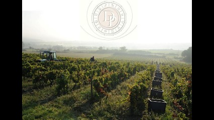 Domaine De Prapin, Vignoble à Taluyers