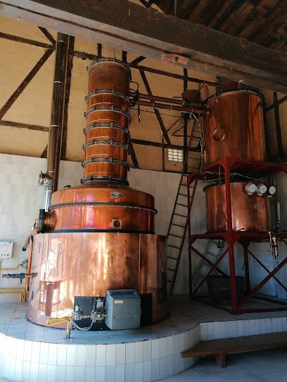 Château De Laubade, Vignoble à Sorbets