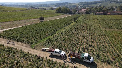 Domaine Theulot Juillot, Vignoble à Mercurey