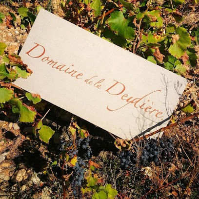 Domaine de la Deydiére, Vignoble à Grillon