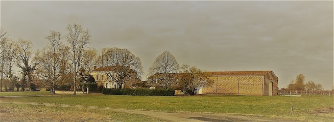 Chateau La Verniere, Vignoble à Saint-Vivien-de-Blaye