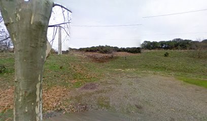 Château du Prieure des Mourgues, Vignoble à Pierrerue