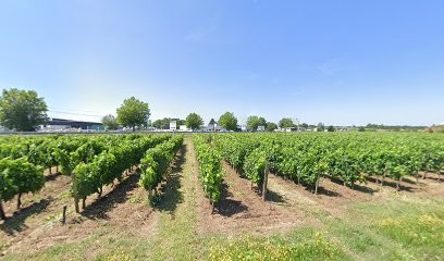 Château Gayat SCEA, Vignoble à Vayres