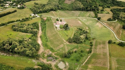 Château Le Devay, Vignoble à Saint-Romain-en-Gal