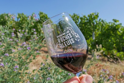 Domaine Les Roches Bleues, Vignoble à Odenas