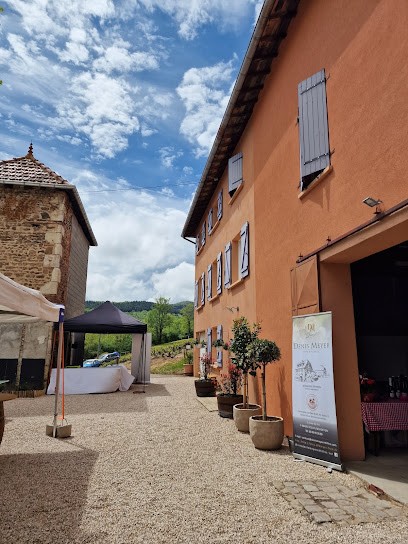 Rude Florent, Vignoble à Odenas