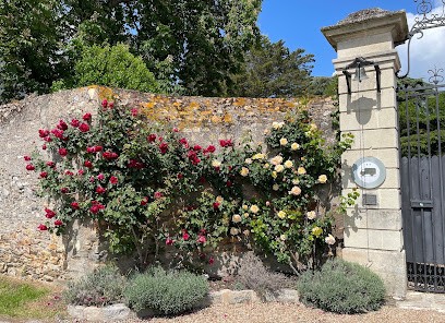 FAMILLE JOLY, Vignoble à Savennières