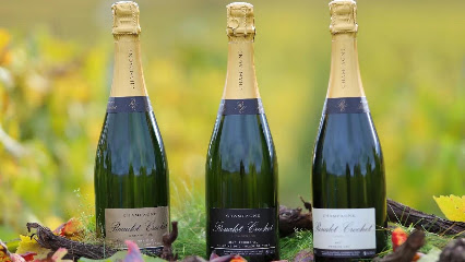 Roualet Père Et Fils Vignoble à Champillon