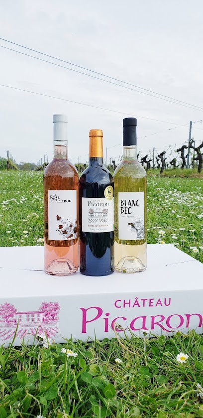 Château Picaron, Vignoble à Moulon