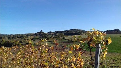 Boige Henri, Vignoble à Saint-Julien-de-Coppel