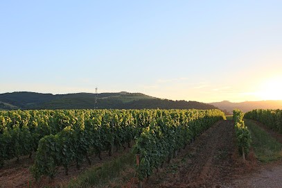 Domaine De La Feuillata - EARL, Vignoble à Saint-Vérand