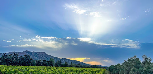 Domaine Des Alpilles, Vignoble à Aureille