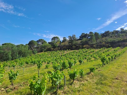 Domaine Pons Gralet, Vignoble à Estagel