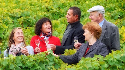 Champagne Andre Delaunois, Vignoble à Rilly-la-Montagne