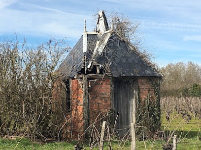 Domaine Lanoix - Grand vin de Chateaumeillant, Vignoble à Châteaumeillant