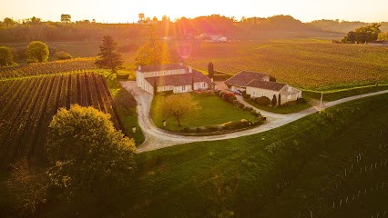 Château La Vieille Cure, Vignoble à Saillans