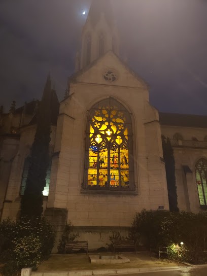 Vin L'Affectif, Vignoble à Lyon 05