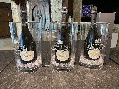 Champagne Vilmart & Cie, Vignoble à Rilly-la-Montagne