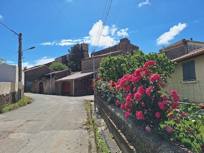 Cave Coopérative, Vignoble à Tourouzelle