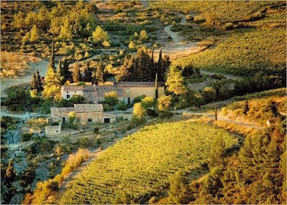 Domain Cantaussel, Vignoble à Siran